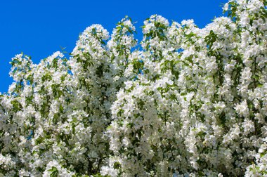 Teknogen peyzaj, kentsel. Yükselen güneş ışınlarının kutbunda enerji. Mesajını yüksek kurşun transferi için. Çelik elektrik direkleri