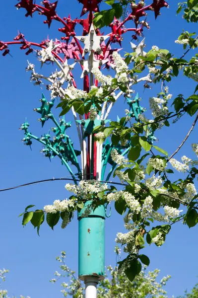 Primo Piano Ramo Ciliegia Uccello Luminosamente Retroilluminato Contro Cielo Fiori — Foto Stock