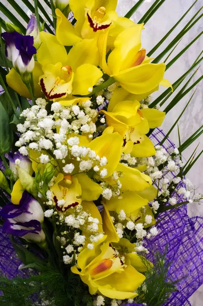 Орхидные Представляют Собой Разнообразное Широко Распространенное Семейство Цветущих Растений Цветами — стоковое фото