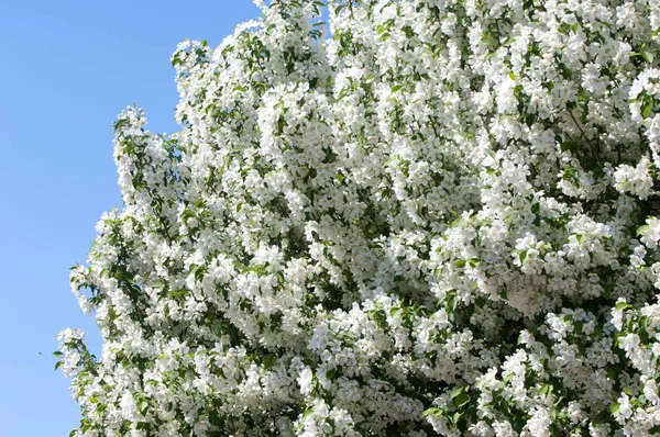 Teknogen peyzaj, kentsel. Yükselen güneş ışınlarının kutbunda enerji. Mesajını yüksek kurşun transferi için. Çelik elektrik direkleri