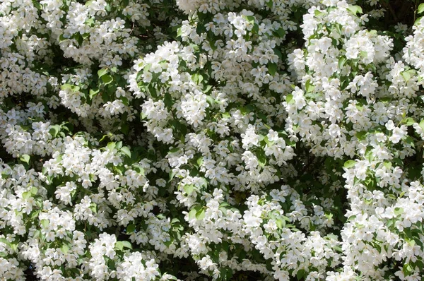 Teknogen peyzaj, kentsel. Yükselen güneş ışınlarının kutbunda enerji. Mesajını yüksek kurşun transferi için. Çelik elektrik direkleri