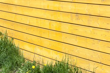 Doku, arka plan, desen. İyi bir arka plan. Panoları kalkan olarak bağlanır. Ahşap duvar yeşil çim ile. Ahşap doku, doğal ahşap arka plan.