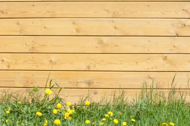 Doku, arka plan, desen. İyi bir arka plan. Panoları kalkan olarak bağlanır. Ahşap duvar yeşil çim ile. Ahşap doku, doğal ahşap arka plan.