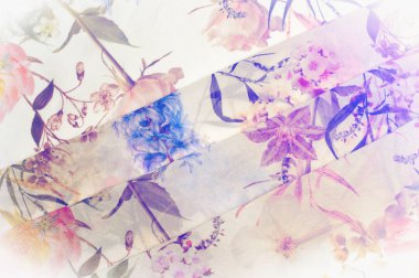 Doku, arka plan, desen. İpek kumaş. Doku pembe ve sarı çiçekler suluboya tekniği ile. Gül, papatya ve Mimoza ile duvar kağıtları. Tebrik kartı. İpek eşarp, şal. Tatil.