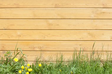 Doku, arka plan, desen. İyi bir arka plan. Co kurulları vardır