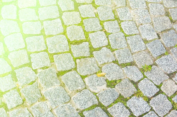 Texture Background Pavement Granite Stone Paved Roadway Street Any Paved — Stock Photo, Image
