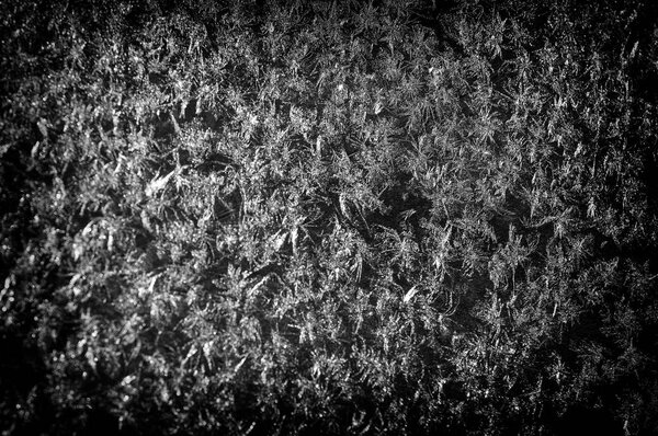 Texture, background, pattern. Frosty pattern on the glass. Macro shot from Snowflake. Abstract winter background. This is frosty pattern on glass winter window.