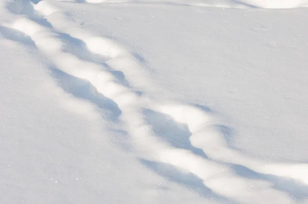 Textura Fundo Padrão Pegadas Neve Geada Está Muito Fria Cobertor — Fotografia de Stock