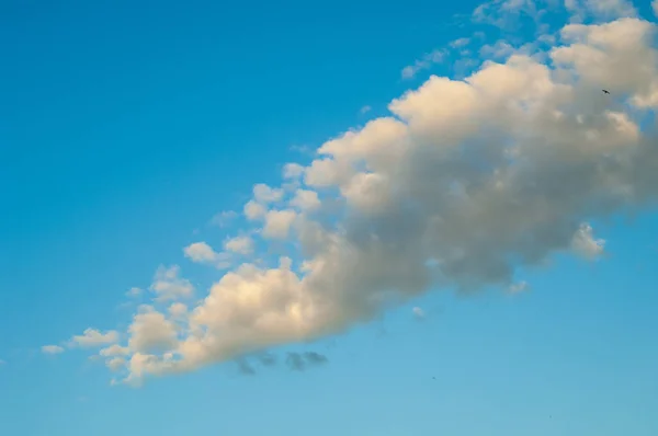 Текстура Фон Рисунок Кучевые Облака Cumulonimbus Stormy Cloud Blue Sky — стоковое фото