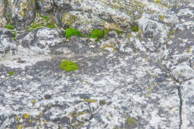 Doku, arka plan, desen. Eski granit taşlar. Eski bir taş duvar. Taştan bir duvar dokusu. Bir eski gri taş ve kum taşı doku kökenli tuğla duvar.