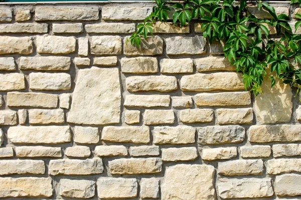 纹理背景 这堵墙是石头 房屋围栏 砂岩鹅卵石 — 图库照片