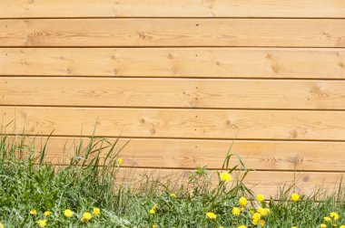 Doku, arka plan, desen. İyi bir arka plan. Panoları kalkan olarak bağlanır. Ahşap duvar yeşil çim ile. Ahşap doku, doğal ahşap arka plan.