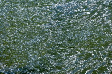 Doku, arka plan, desen. Su havuzlarında çeşmeden sprey. Dikey yüksek Şofben ateş sprey serpin özelliği dekorasyon spouting su havuzu çeşme 