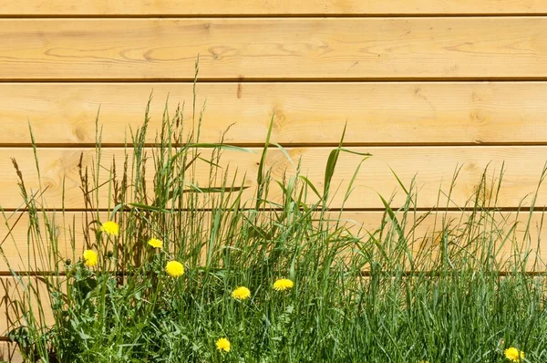 Doku, arka plan, desen. İyi bir arka plan. Panoları kalkan olarak bağlanır. Ahşap duvar yeşil çim ile. Ahşap doku, doğal ahşap arka plan.