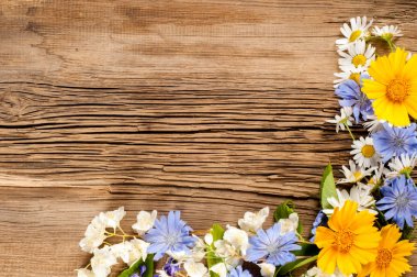 Kır çiçekleri. Stüdyo fotoğrafçılığı. Papatya, Yasemin, peygamber çiçeği, Doronicum, tahtaya