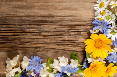 Kır çiçekleri. Stüdyo fotoğrafçılığı. Papatya, Yasemin, peygamber çiçeği, Doronicum, tahtaya