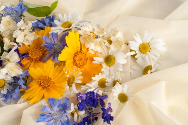 Wildflowers Studio Photography Chamomile Jasmine Flowers Photographed Silk Fabric — Stock Photo, Image