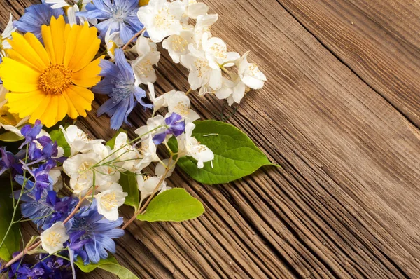 Wildflowers Studio Photography Camomile Jasmine Cornflower Doronicum Blackboard — Stock Photo, Image