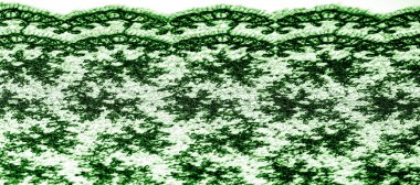 Doku, desen, beyaz bir arka plan üzerinde yeşil dantel kumaş. Th