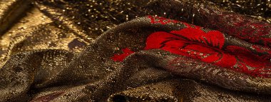 doku, arka plan, desen, altın payetler Elastik lak ile dantel