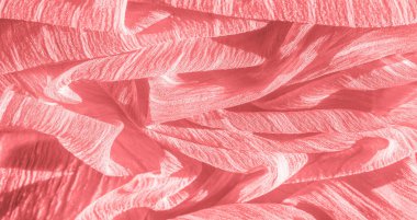 Doku, arka plan, desen, koleksiyon, buruşuk ahududu kırmızı