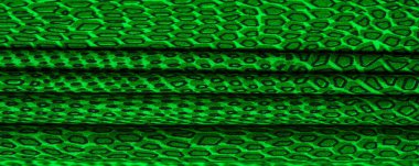 yeşil ipek kumaş, hayvan derisi. Tüm projeler yeni ve tasarımlı