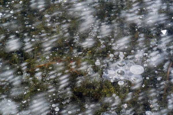 Textura patrón fondo blanco Invierno, río hielo burbujas de aire s —  Fotos de Stock