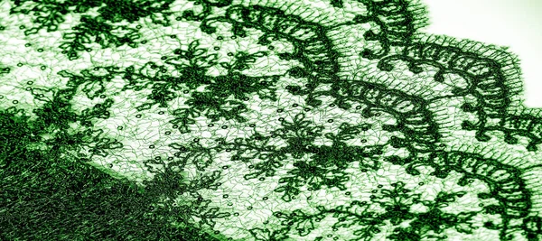 Texture, motif, tissu dentelle en vert sur fond blanc. Th h — Photo