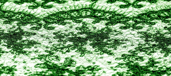 Texture, motif, tissu dentelle en vert sur fond blanc. Th h — Photo