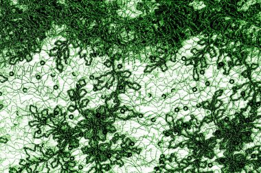 Doku, desen, beyaz bir arka plan üzerinde yeşil dantel kumaş. Th