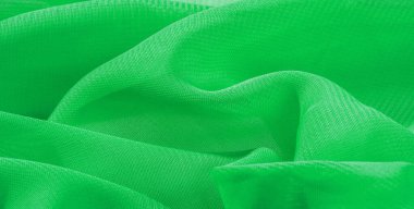  doku arka plan desen yeşil ipek kumaş. Bu ipek organze