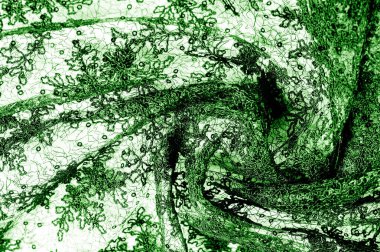 Doku, desen, beyaz bir arka plan üzerinde yeşil dantel kumaş. Th