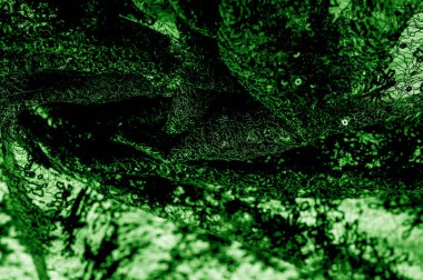 Doku, desen, beyaz bir arka plan üzerinde yeşil dantel kumaş. Th