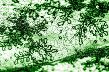 Doku, desen, beyaz bir arka plan üzerinde yeşil dantel kumaş. Th