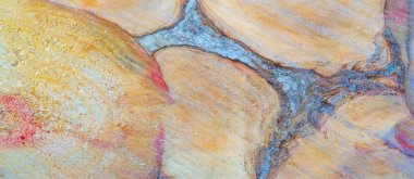 Düşmüş bir ağaç, bir kütük. bir ağacın alt kısmı projectin sol