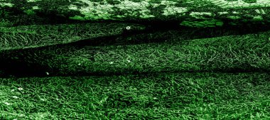 Doku, desen, beyaz bir arka plan üzerinde yeşil dantel kumaş. Th