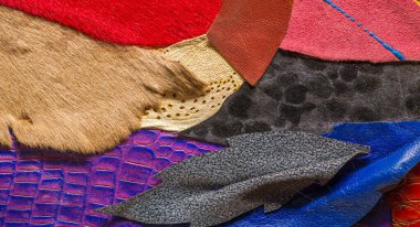 doku arka plan deseni. dekoratif hayvan derisi, parlak renk