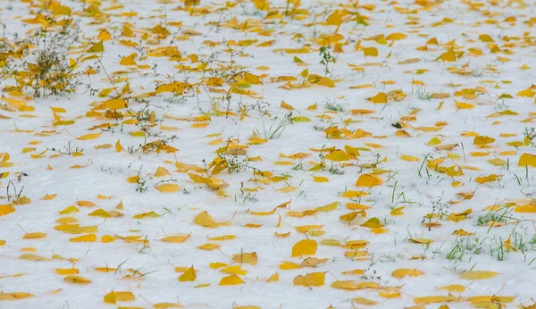 我们得到了我们的第一个雪的季节在夜间，灰尘 — 图库照片