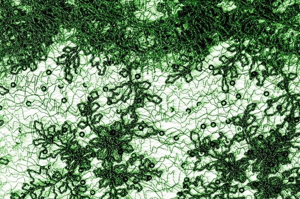 흰색 배경에 녹색의 질감, 패턴, 레이스 원단. 일 — 스톡 사진
