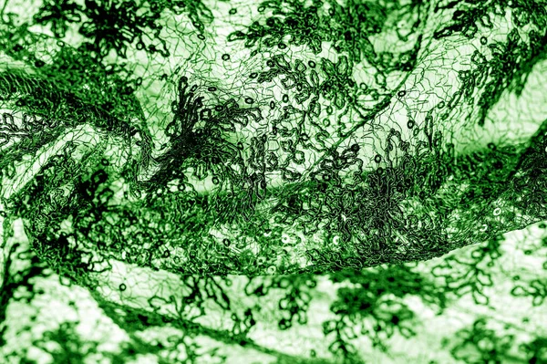 Tekstura, wzór, tkanina koronkowa w kolorze zielonym na białym tle. Th — Zdjęcie stockowe