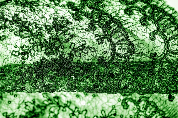 Textura, vzorek, krajka v zelené na bílém podkladu. Th — Stock fotografie