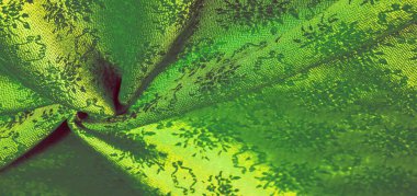 doku arka plan deseni. yeşil bez. Bu y için kullanılabilir