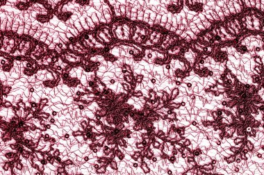 Doku, desen, beyaz bir arka plan üzerinde kırmızı dantel kumaş. Şarküteri