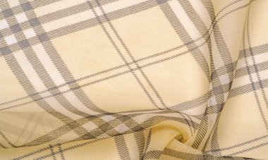 ipek kumaş şampanya (soluk fawn) Tartan damalı duvar kağıdı pat