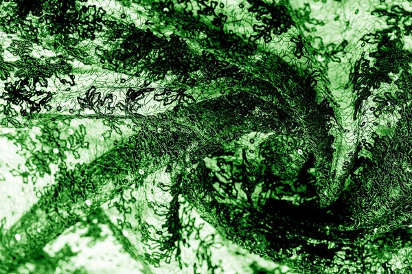 Textura, patrón, tela de encaje en verde sobre un fondo blanco. Th — Foto de Stock
