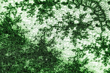 Doku, desen, beyaz bir arka plan üzerinde yeşil dantel kumaş. Th