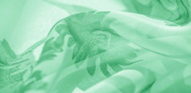 Doku arka plan, desen, duvar kağıdı. beyaz ipek kumaş, yeşil