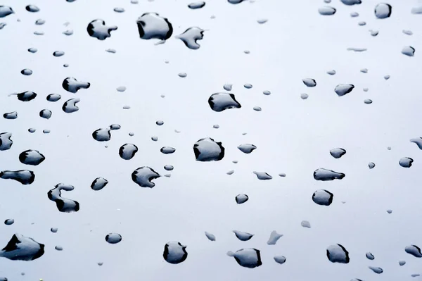 Letní déšť, kapky vody na laku. malý kulatý nebo p — Stock fotografie