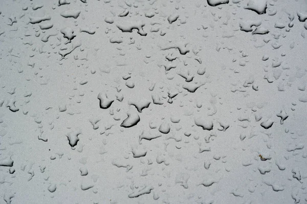 夏の雨、車のペンキに水の滴。小さな丸いまたはp — ストック写真