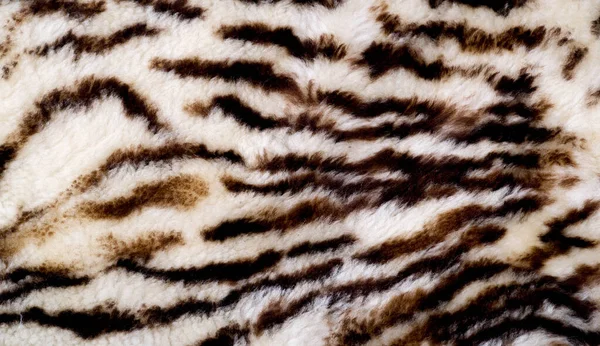 Textúra, szőrme, ábra. Festett báránybőr a leopárd. egy lány, — Stock Fotó